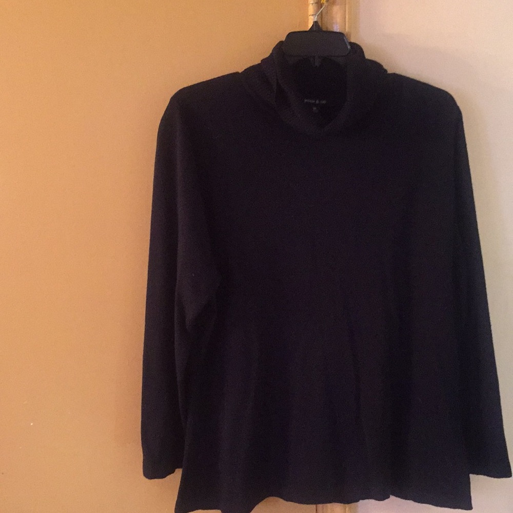 Black Turtle Neck Sweater